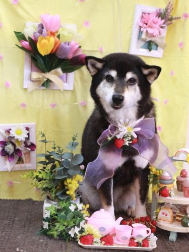 20230330ひめちゃん